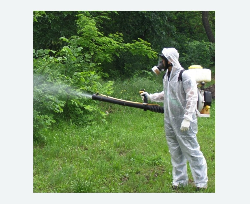 обработка дачи от клещей обработка территории от клещей в Льялово