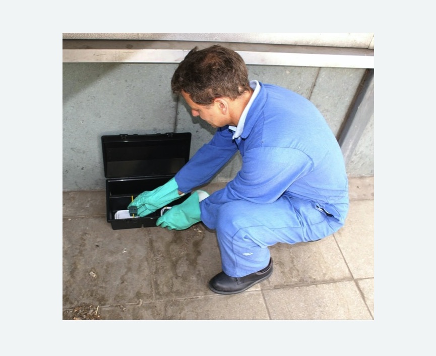 Дератизация помещения в Льялово Дератизация помещения