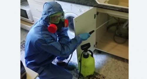 Уничтожение муравьев в квартире. Льялово