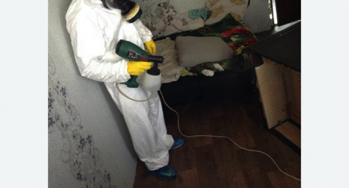 Обработка квартир от насекомых в Льялово