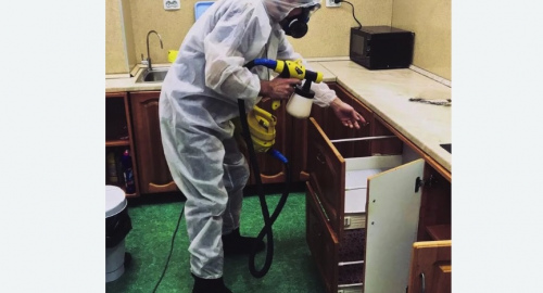 Дезинсекция квартиры. Льялово