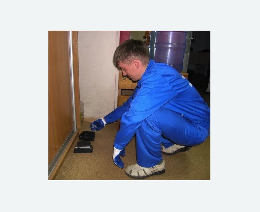 Дератизация крыс Дератизация крыс в Льялово