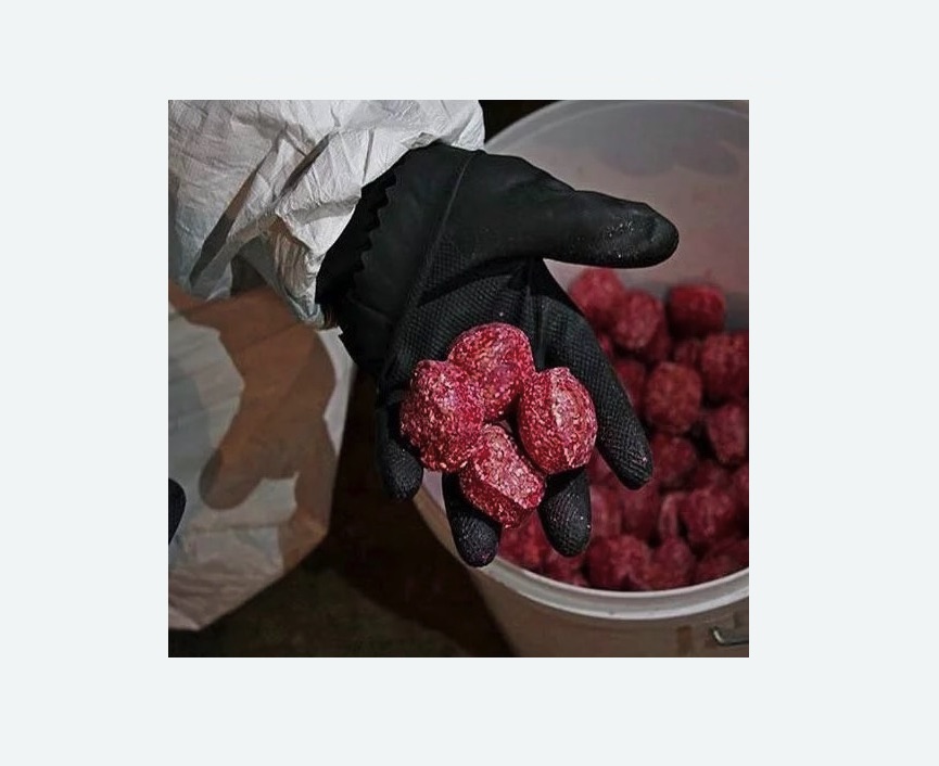 Обработка от крыс Обработка от крыс в Льялово