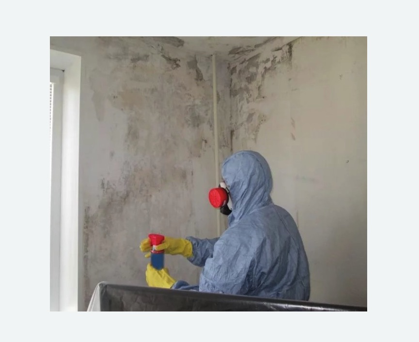 Удаление плесени в квартире в Льялово