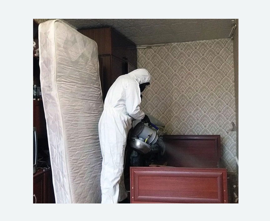 дезинфекция от клопов дезинфекция от клопов в Льялово