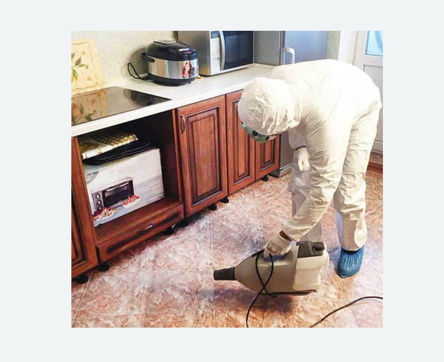 обработка квартиры от клопов в Льялово обработка квартиры от клопов