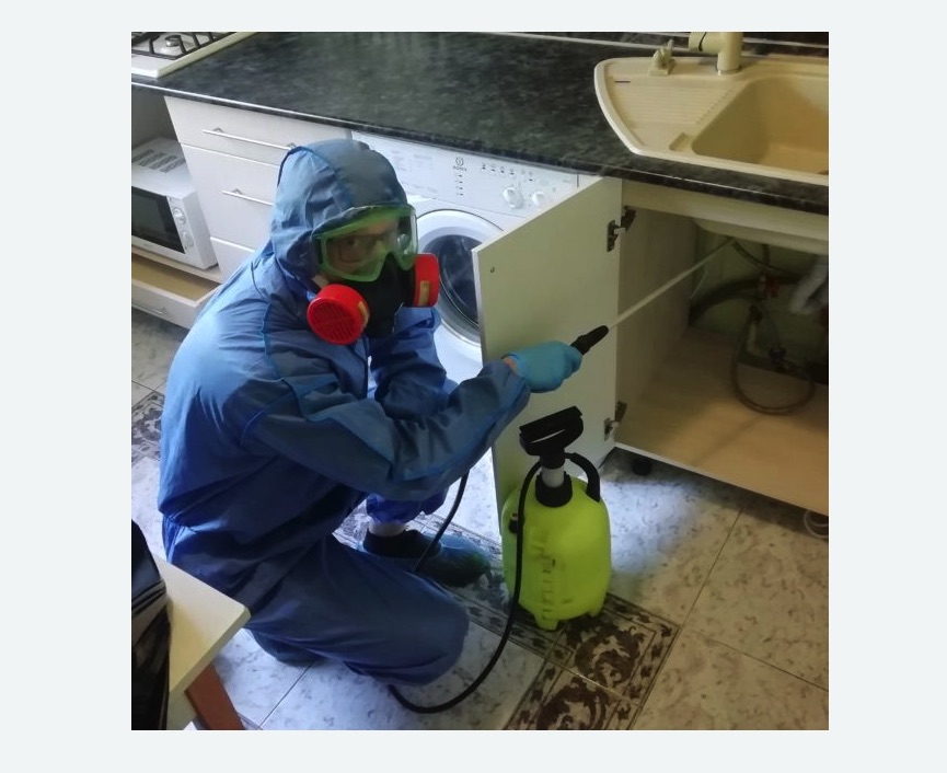 обработка от муравьев в квартире в Льялово