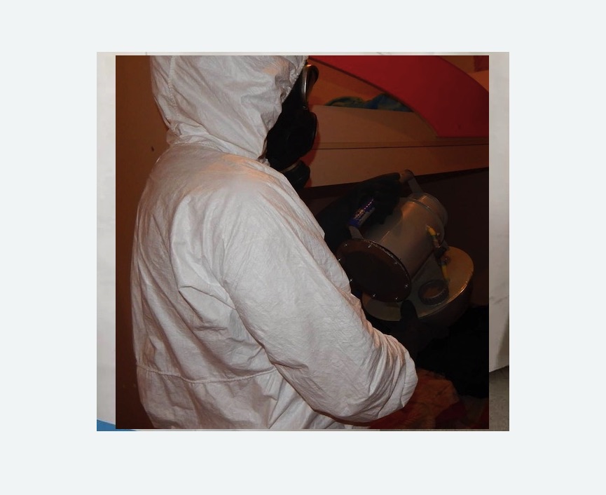 Дезинфекция от муравьев в Льялово