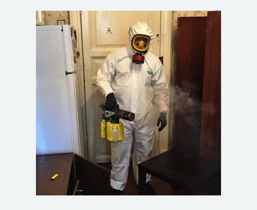 уничтожение муравьев в квартире в Льялово